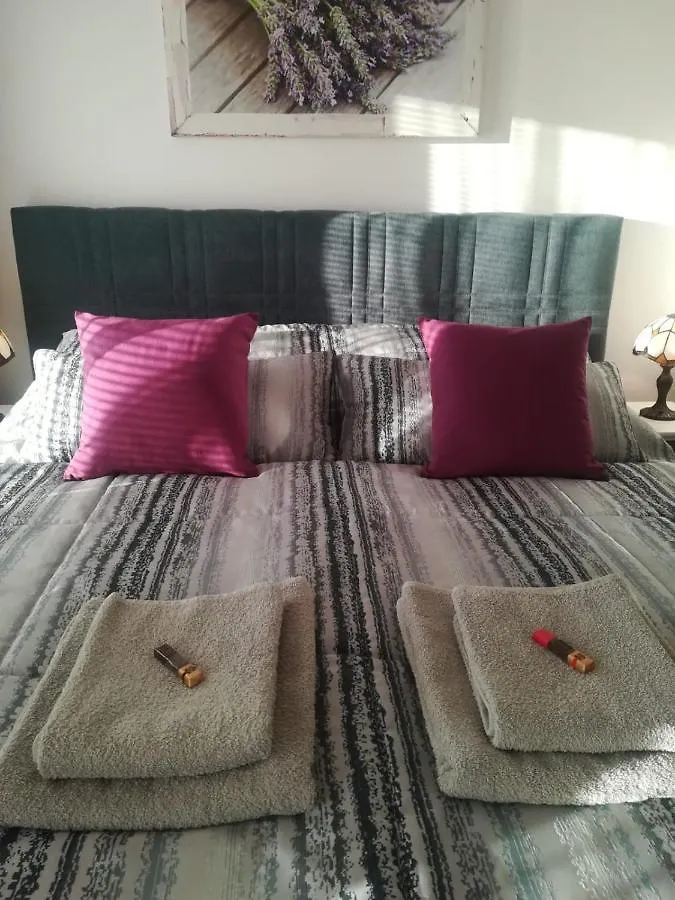 B&B Violet Karlovy Vary Bed & Breakfast
